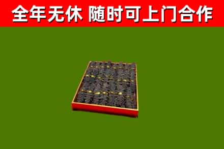 苍南回收海参